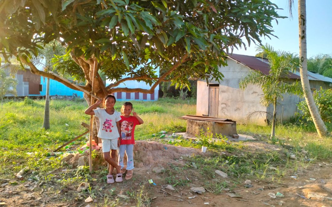 Hak Anak di Marau: Kisah Janji di Bawah Pohon Mangga